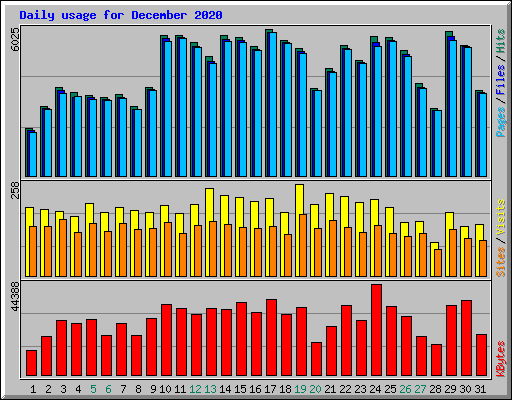 Daily usage for December 2020