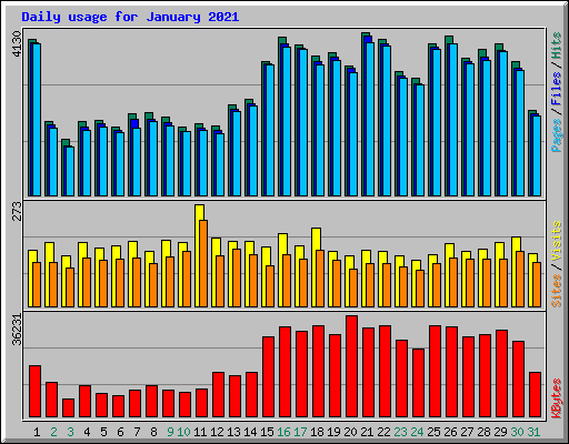 Daily usage for January 2021