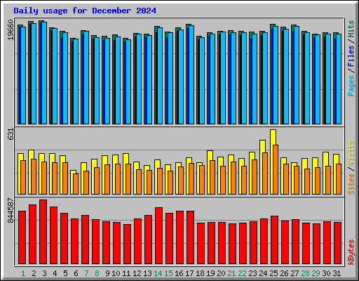 Daily usage for December 2024