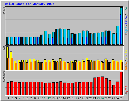 Daily usage for January 2025