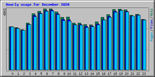 Hourly usage for December 2020