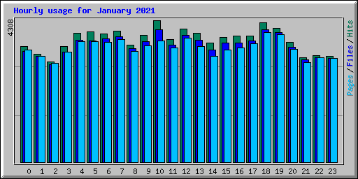 Hourly usage for January 2021