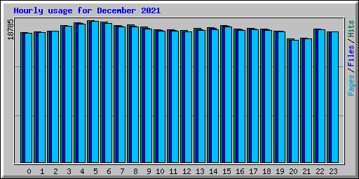 Hourly usage for December 2021