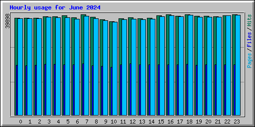 Hourly usage for June 2024