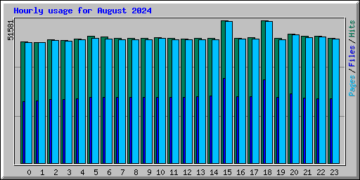 Hourly usage for August 2024