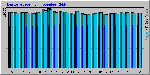 Hourly usage for November 2024