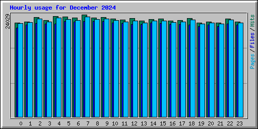 Hourly usage for December 2024