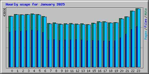 Hourly usage for January 2025