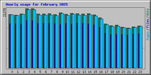 Hourly usage for February 2025