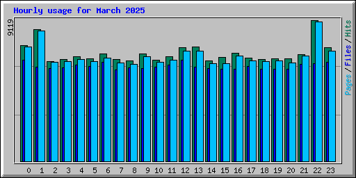 Hourly usage for March 2025