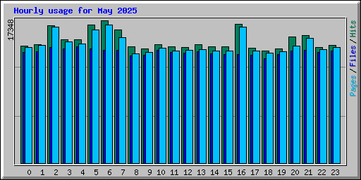 Hourly usage for May 2025