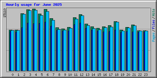 Hourly usage for June 2025