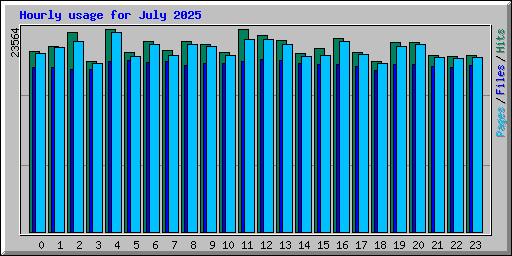 Hourly usage for July 2025