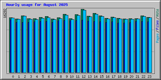 Hourly usage for August 2025