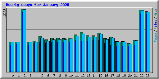 Hourly usage for January 2026