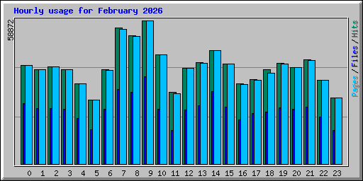 Hourly usage for February 2026