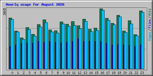 Hourly usage for August 2026