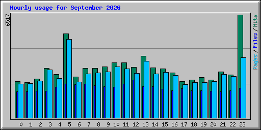 Hourly usage for September 2026